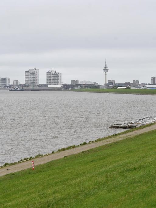 Der Deich am Naturschutzgebiet Luneplate, mit dem Blick auf Bremerhaven im Hintergrund.
