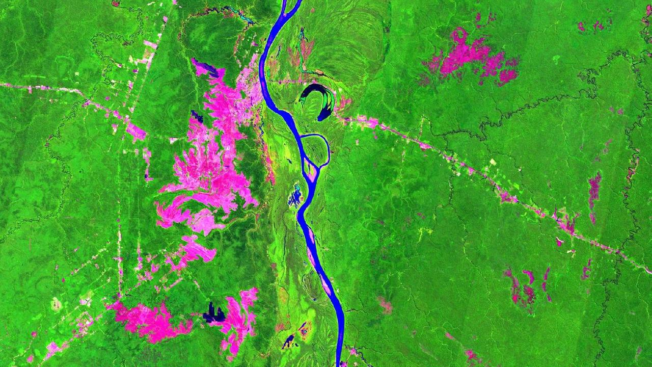 Aus dem Weltall aufgenommenes Bild des Amazonas, der sich als blaue Linie durch grellrünen Regenwald schlängelt. Städte und Siedlungen sind in leuchtendem Pink dargestellt.