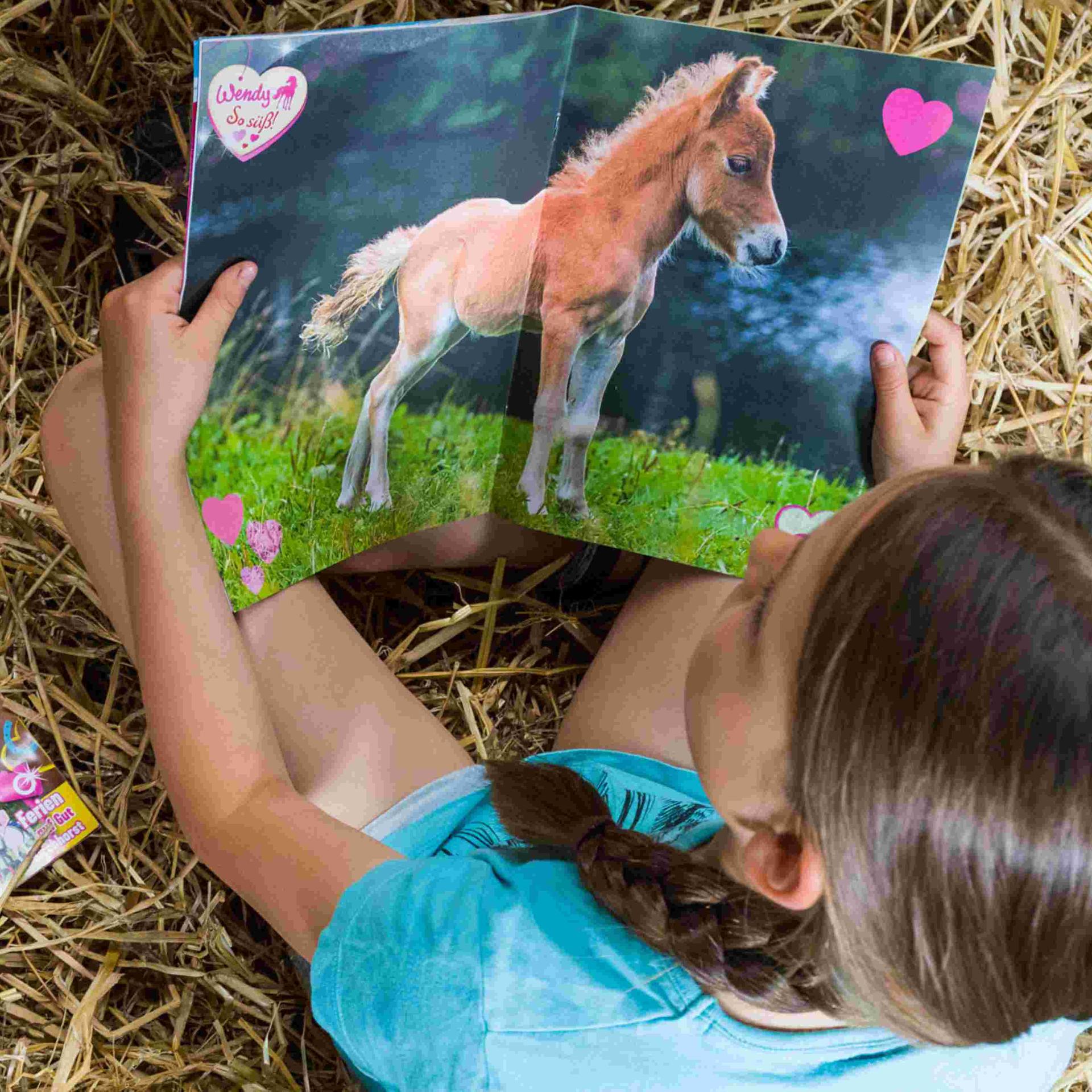 Wendy Pferd Tod Mexiko - Neo-Western als Klangcomic