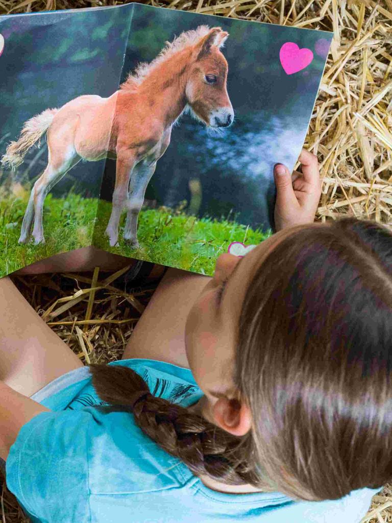 Ein Mädchen liest die Pferdezeitschrift für Kinder "Wendy" im Jahr 2016 auf einem Reiterhof