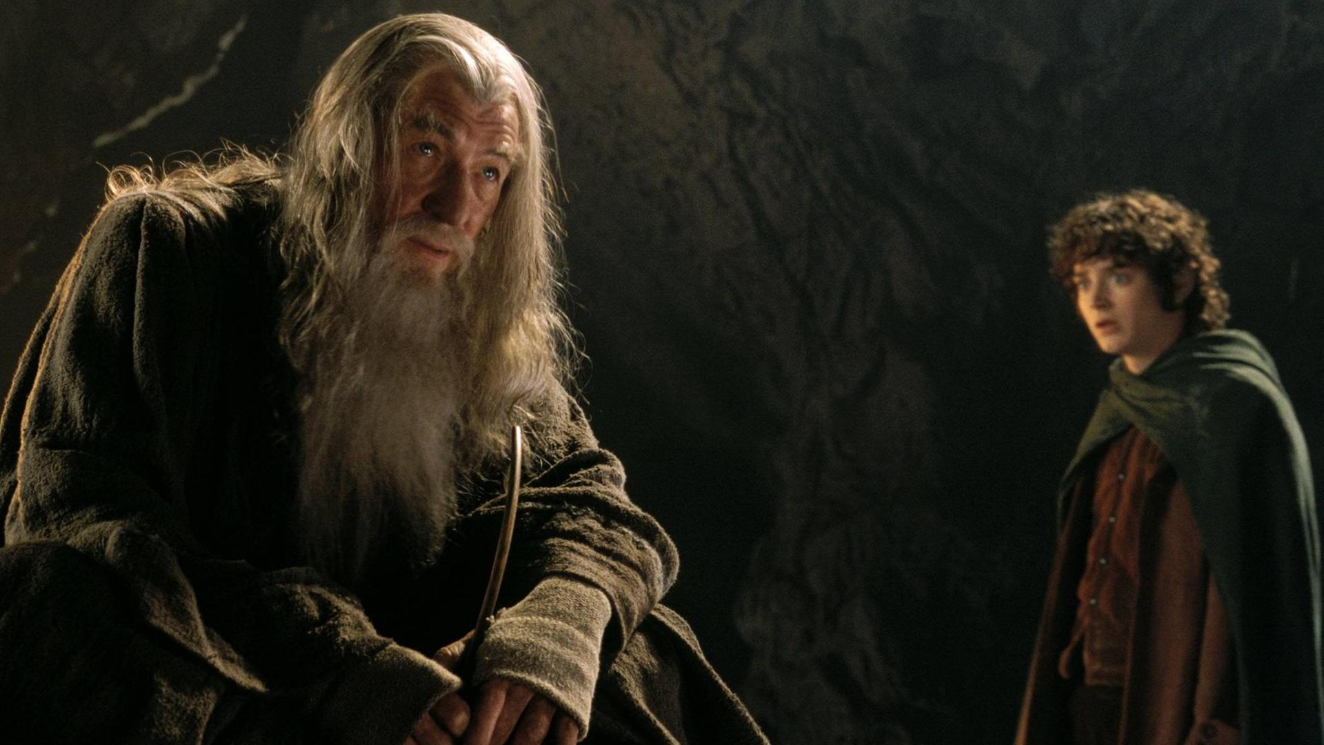 Ian McKellen (l.) mit Elijah Wood in "Der Herr der Ringe" Ian McKellen (l.) mit Elijah Wood in "Der Herr der Ringe"