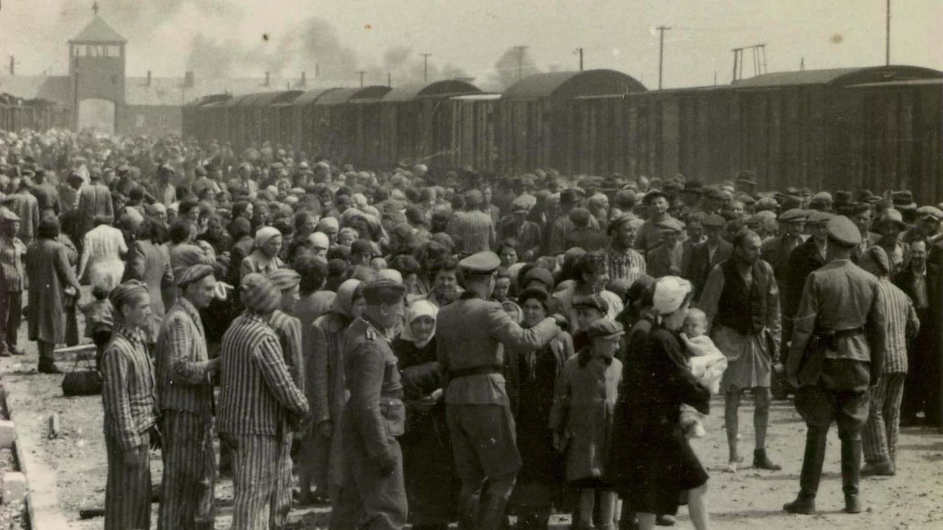 Gefangene werden nach ihrer Deportation in das Vernichtungslager Auschwitz von SS-Männern umstellt.