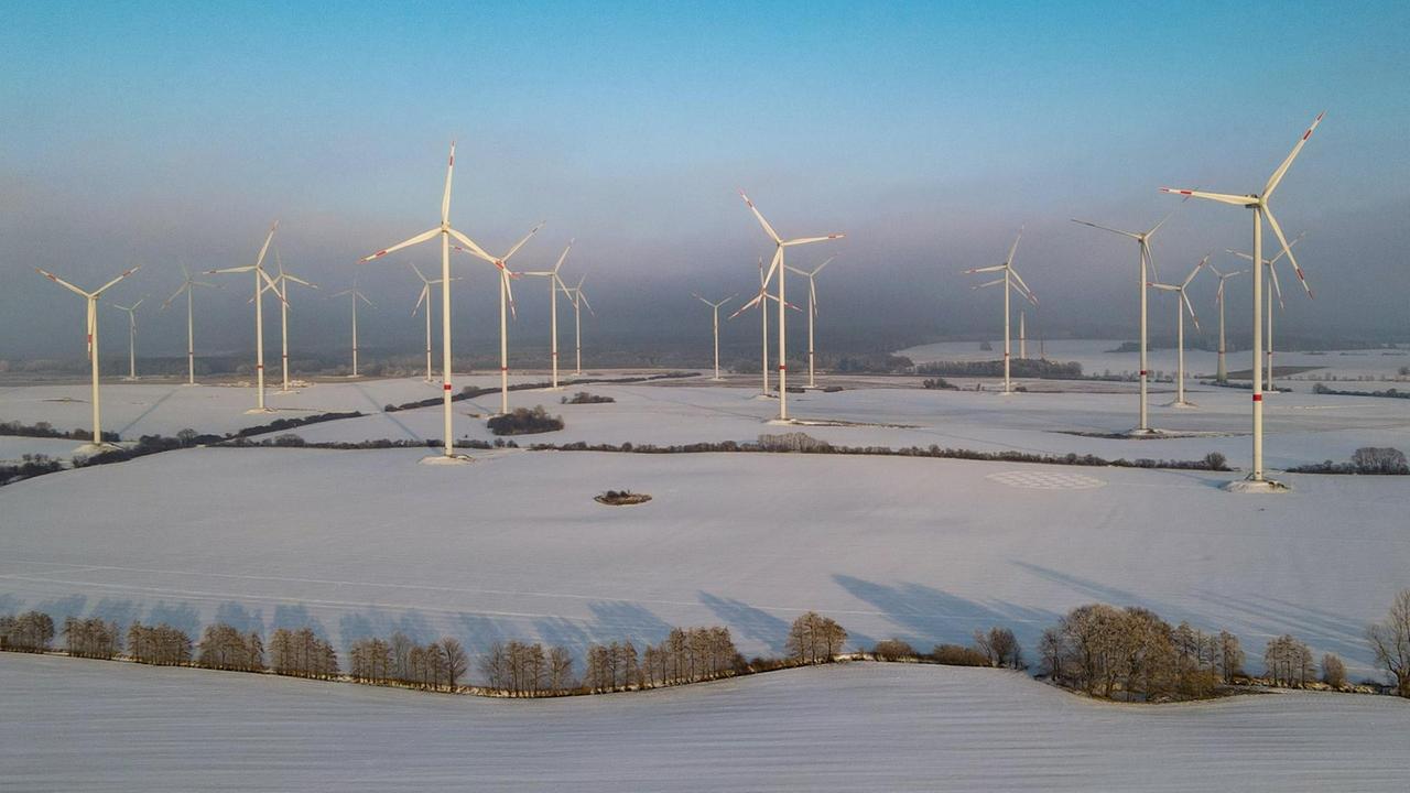 Tödliche Windräder VogelschlagRisiko europaweit minimierbar