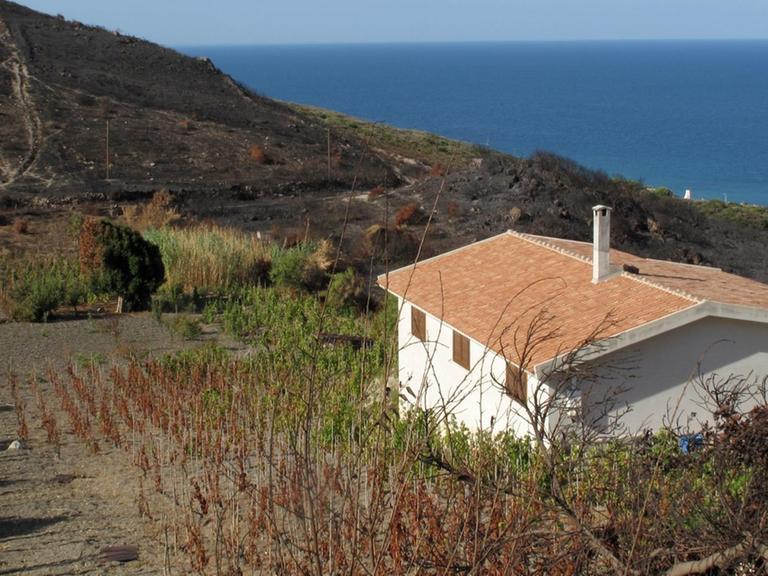 Abgebrannte Weinberge unweit des Städtchens Bosa an der Nordwestküste der Mittelmeer-Insel Sardinien. Aufnahme vom 09.09.2009