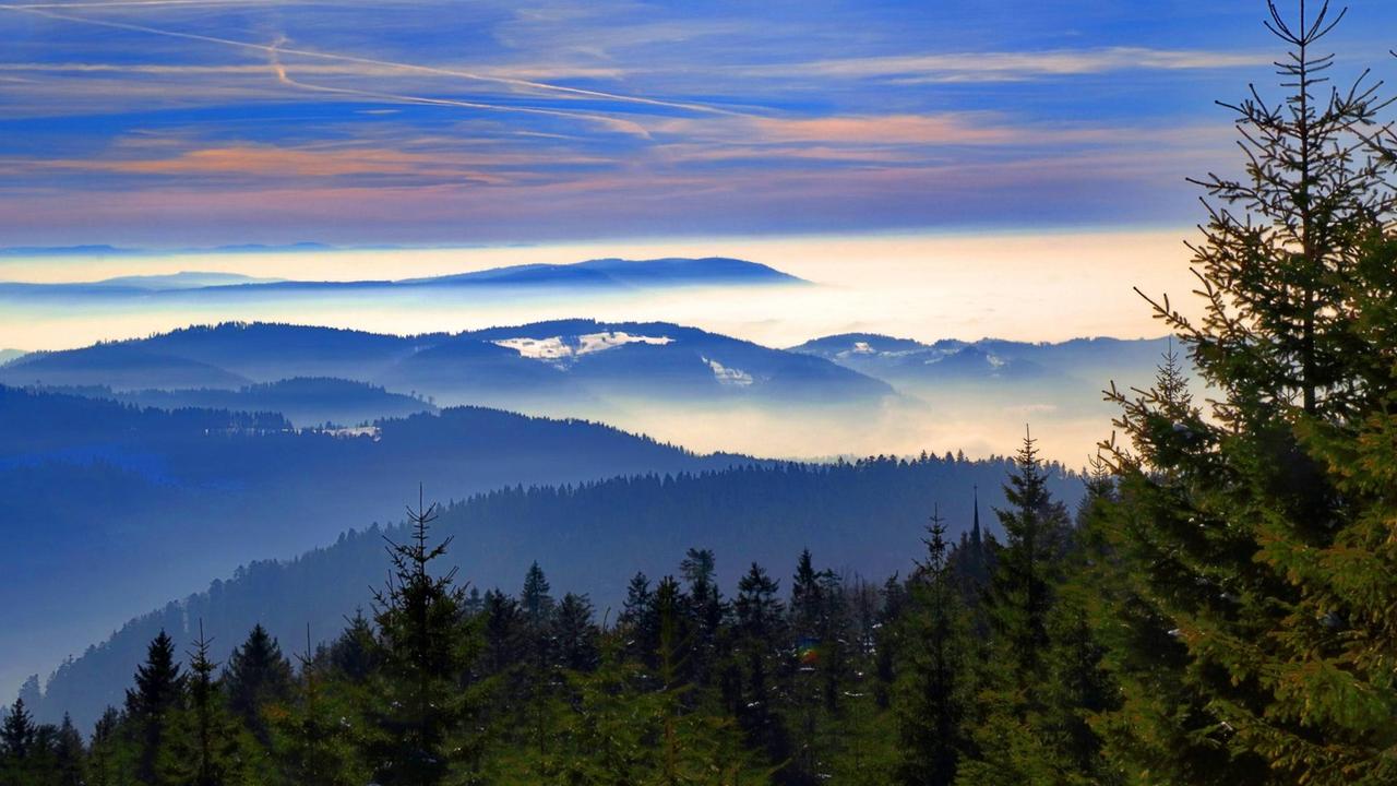 Blick über den Schwarzwald