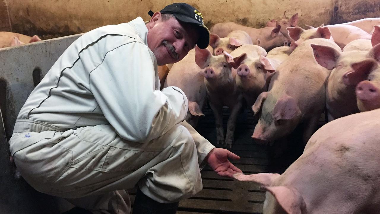 Mogens Dall, Schweinehalter und Vorstandschef des süddänischen Landwirtschaftsvereins LandboSyd