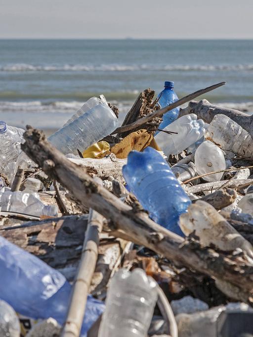 Angeschwemmter Plastikmüll an der Adriaküste.