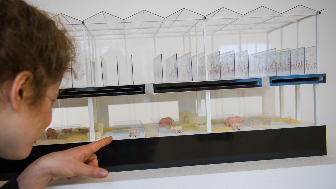 Eine Mitarbeiterin des Museums für Kunst und Gewerbe betrachtet in der Ausstellung "Food Revolution 5.0 - Gestaltung für die Gesellschaft von morgen" ein Modell des Architekturbüros Gottlieb Paludan. Das Modell veranschaulicht eine Alternative zur industriellen Schweinehaltung. Die Ausstellung beschäftigt sich mit der Bedeutung von Essen in unserer Gesellschaft. 