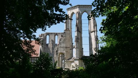 Aufnahme der Ruine der Klosterkirche Walkenried durch Blätter hindurch