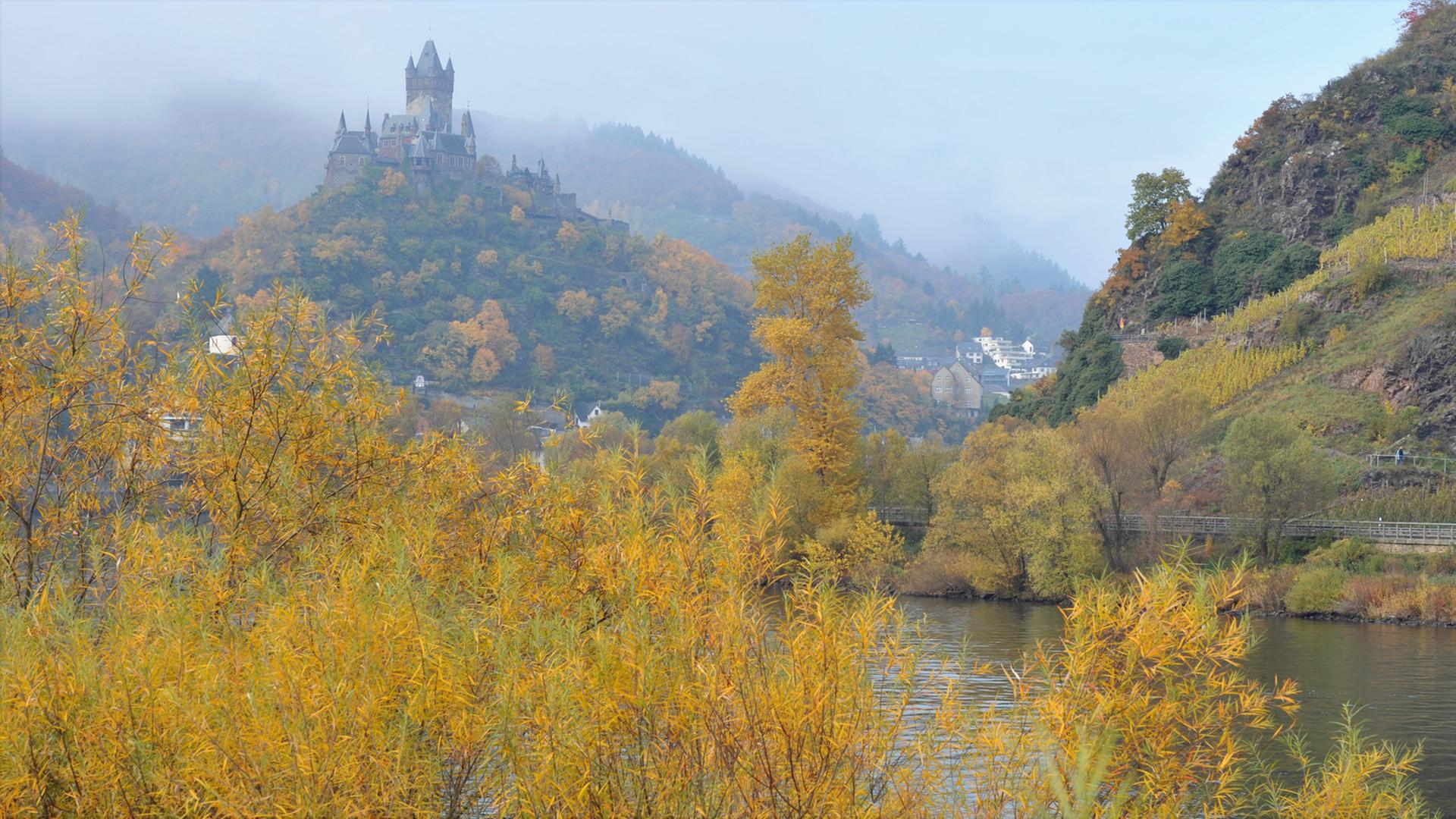 Moseltal im Herbst, auf dem Hügel: die Reichsburg