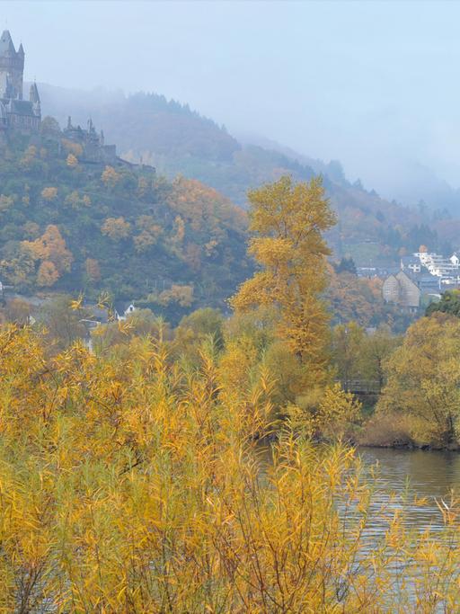 Moseltal im Herbst, auf dem Hügel: die Reichsburg
