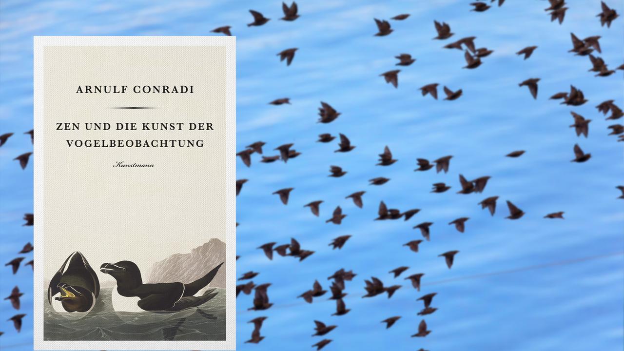 Im Vordergrund ist das Buchcover von "Zen und die Kunst der Vogelbeobachtung". Im Hintergrund ist ein Schwarm fliegender Vögel.