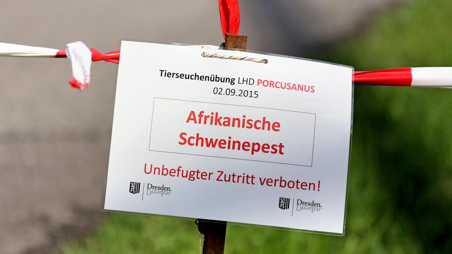 Ein Schild warnt während einer Übung im Kampf gegen die Afrikanische Schweinepest an einem Sperrbezirk in Dresden.