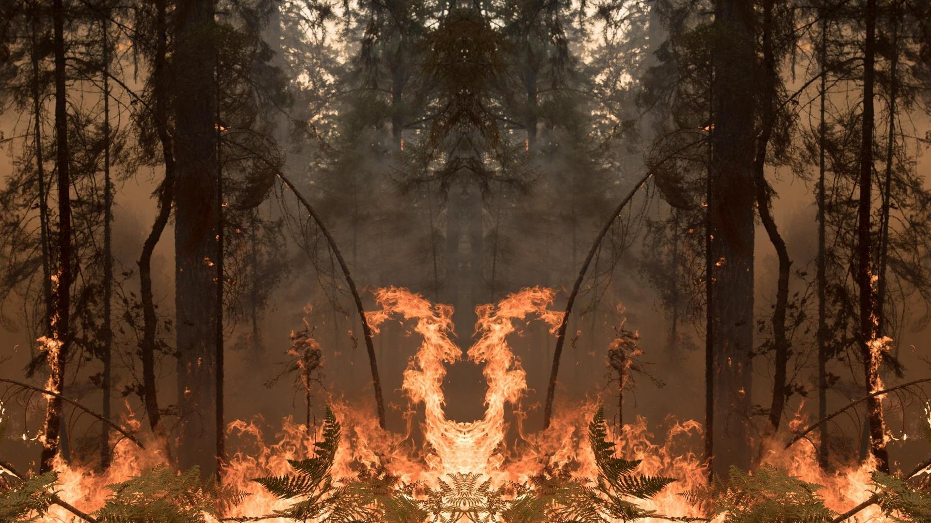 Die Aufnahme eines Waldbrandes, wobei das Bild in der Mitte einmal wie bei einem Kaleidoskop gespiegelt ist