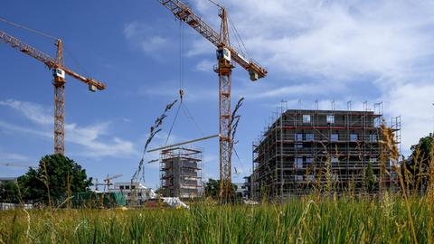 Zwei Kräne auf einer Baustelle einer Wohnungsbaugesellschaft. Im Bildvordergrund ist ein grüne Wiese zu sehen.