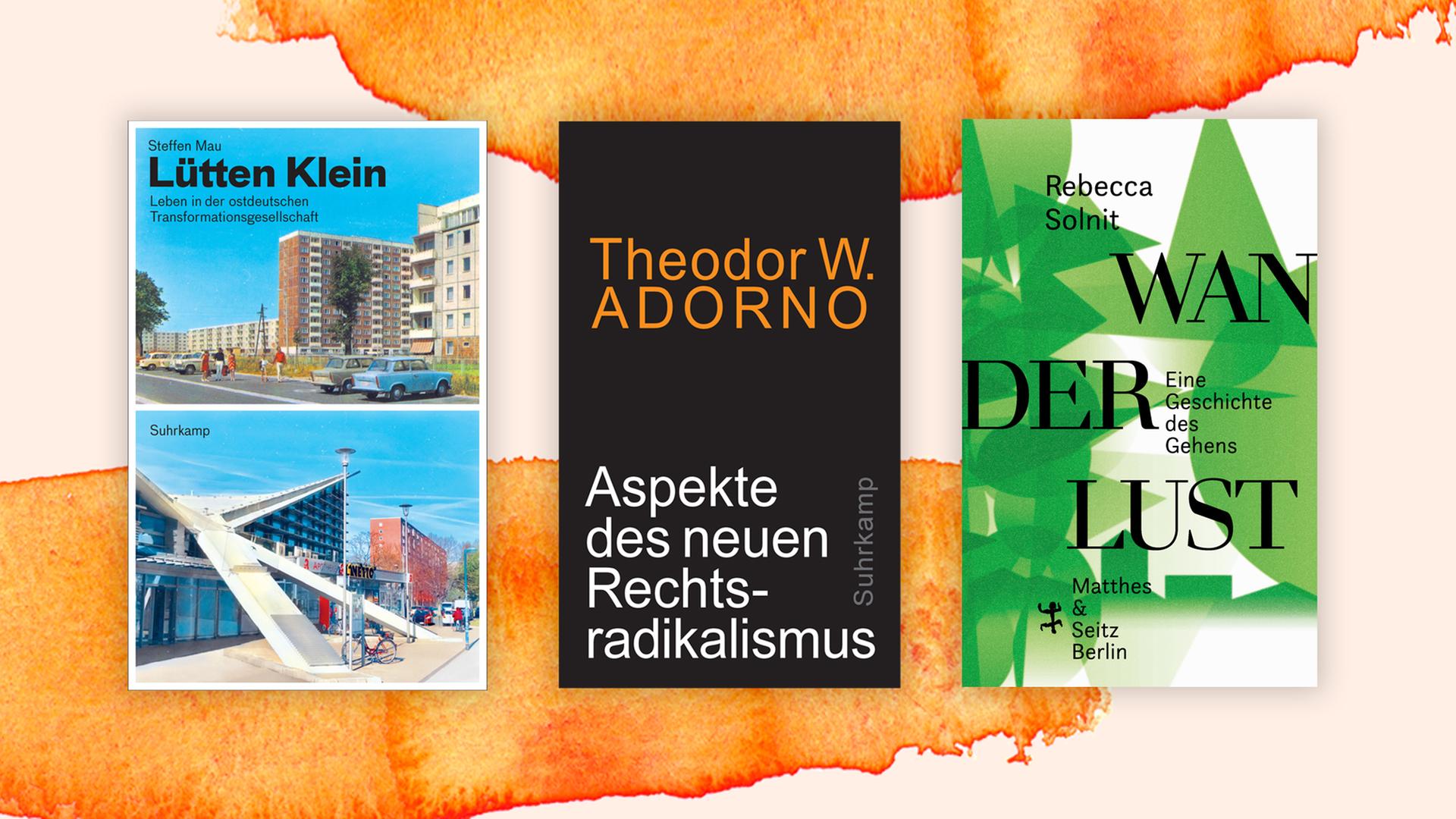 Auf einem farbig auarellierten Hintergrund stehen die Top 3 der besten Sachbücher.