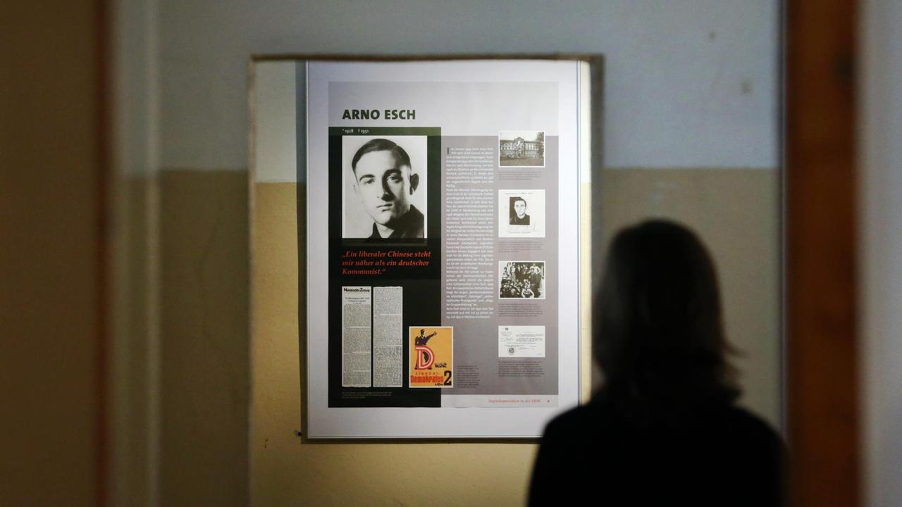 Eine Frau schaut sich im März 2013 ein Schwarz-Weiß-Foto von Arno Esch in einer Ausstellung in der Dokumentations- und Gedenkstätte in der ehemaligen U-Haft der Stasi in Rostock an.