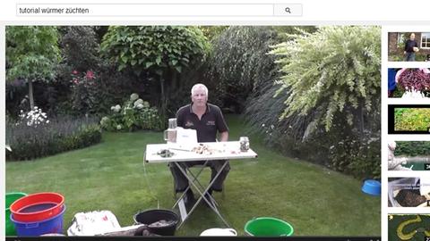 Screenshot eines Tutorials zum Würmer züchten bei Youtube