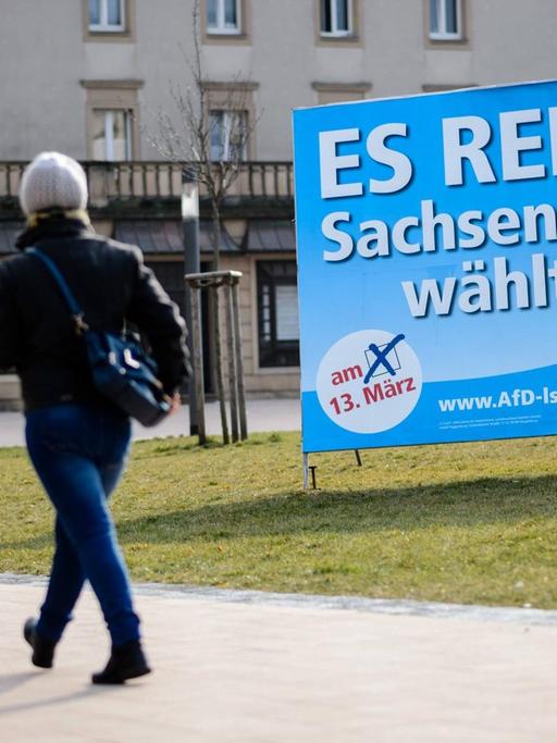 Zwei Menschen gehen in Merseburg in Sachsen-Anhalt an einem Wahlplakat der Alternative für Deutschland vorbei