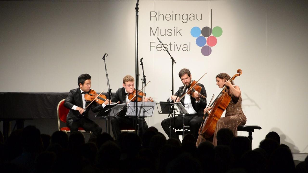 Das Bild zeigt das Stradivari Quartett auf der Bühne im Rahmen des Rheingau Festivals.