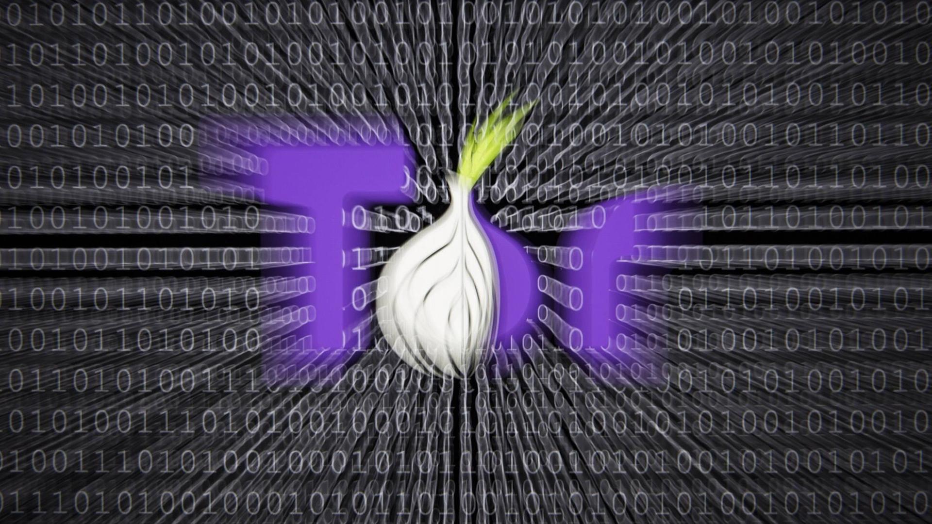Illustration zum Thema Darknet , Logo des Tor Browsers, der Zugang zum Darknet bietet. Im Hintergrund sind Binaercodes abgebildet