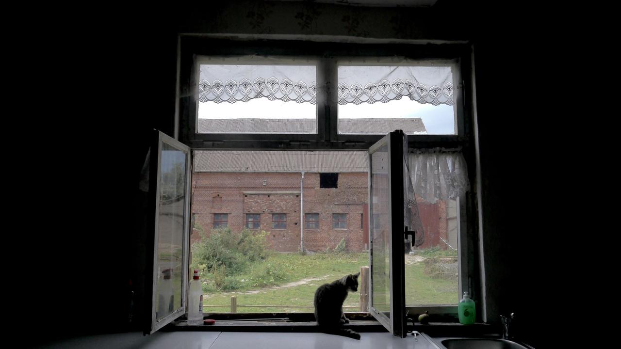 Blick durch das Küchenfenster auf den Hof der Familie