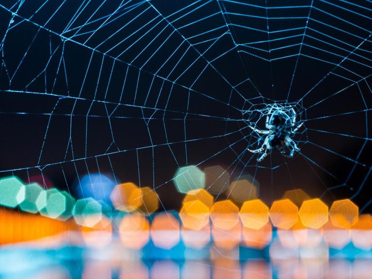 Eine Spinne im Netz vor dunklem Hintergrund, im Vordergrund bunte Lichter.