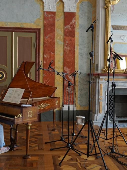 In einem barocken Festsaal spielen eine Musikerin an einem historischen Hammerklavier und ein Hornist zwischen Mikrofonstativen.