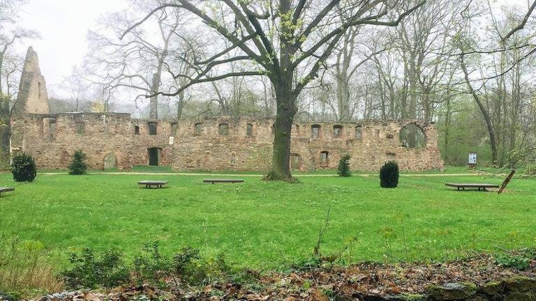 Blick auf eine Außenmauer der Klosterruine Nimbschen im Herbst. 