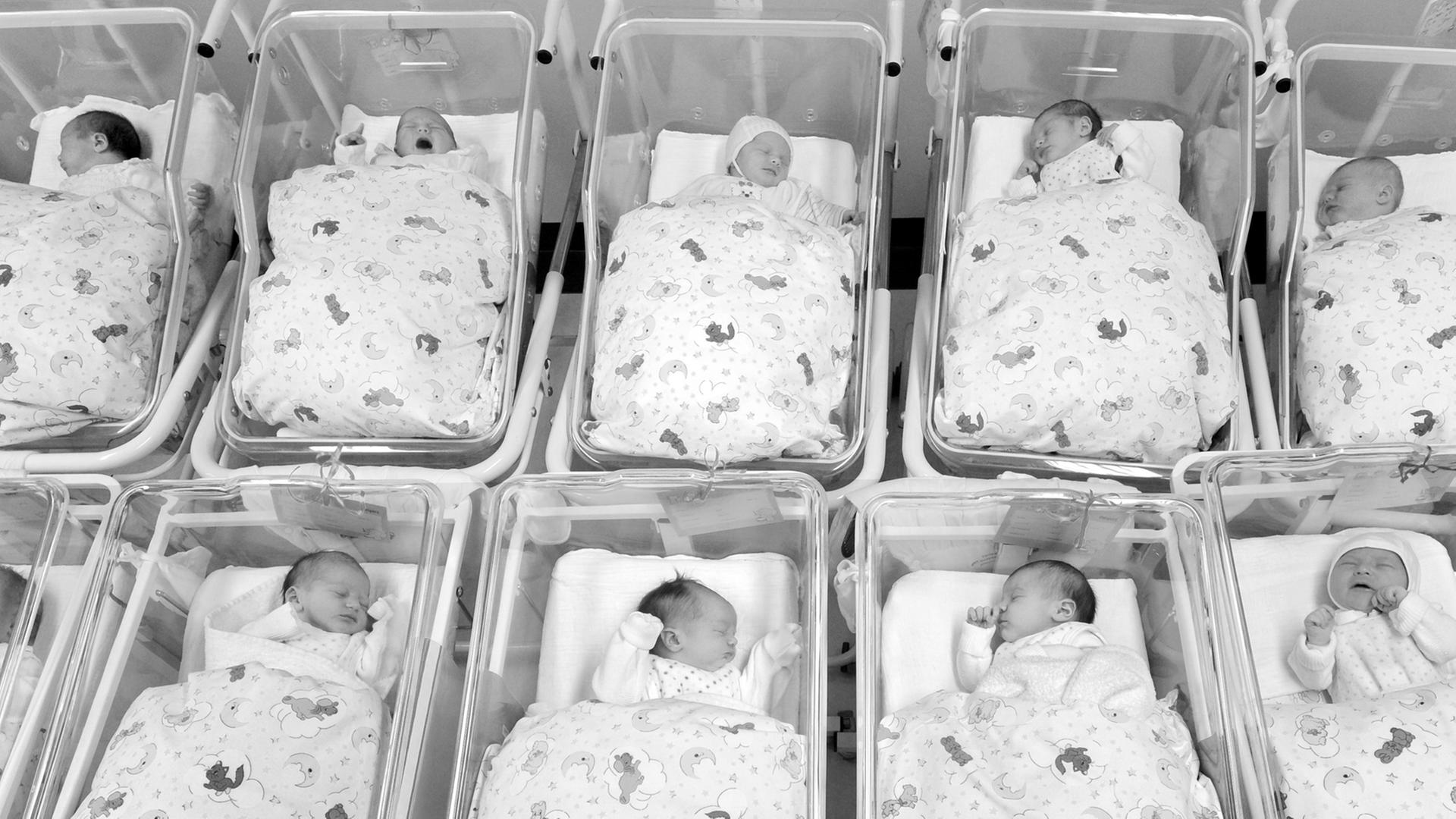 Für ein Foto liegen viele Babys zusammen auf der Neugeborenenstation im Krankenhaus St. Elisabeth und St. Barbara in Halle in ihren Bettchen, aufgenommen am 05.01.2011.