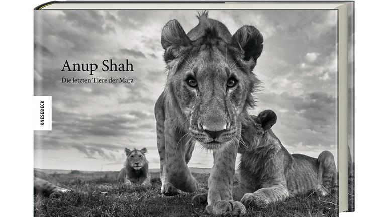 Buchcover: "Die letzten Tiere der Mara" von Anup Shah