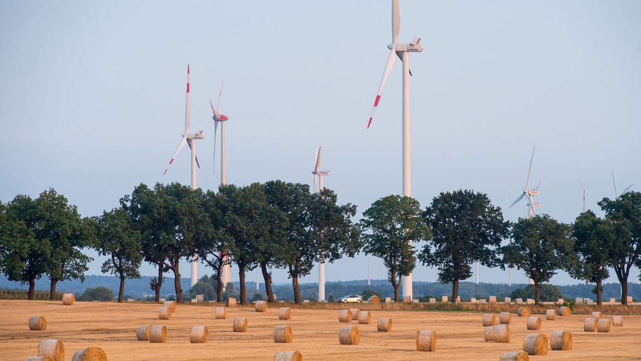 Strohrollen liegen auf einem abgeernteten Getreidefeld vor Windrädern im Landkreis Oder-Spree in Petersdorf (Brandenburg).