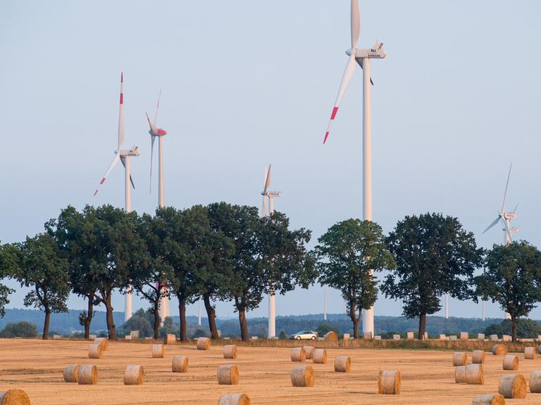 Strohrollen liegen auf einem abgeernteten Getreidefeld vor Windrädern im Landkreis Oder-Spree in Petersdorf (Brandenburg).