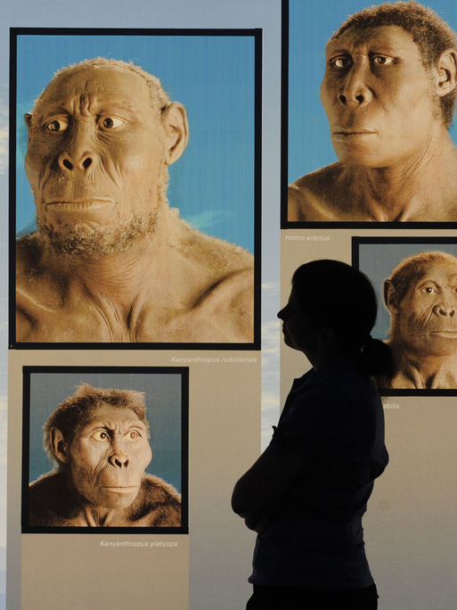 Eine Frau steht vor einer Bildtafel mit Hologrammen, die verschiedene Stufen in der Evolution des Menschen zeigen.