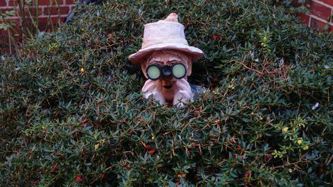 Eine Figur mit einem Hut und einem Fernglas schaut aus einem Busch in der Hecke.