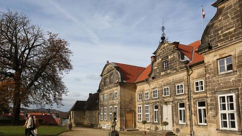 Der Braunschweiger Löwe vor dem kleinen Schloss Blankenburg im Harz