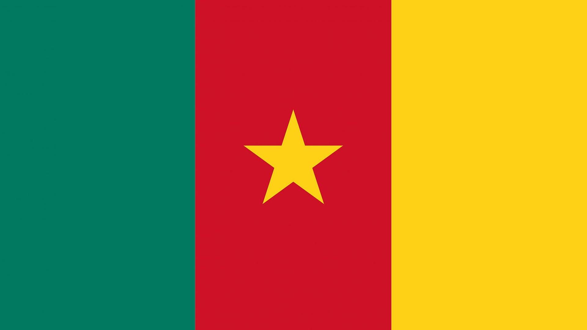 Die Flagge des zentralafrikanischen Staates Kamerun