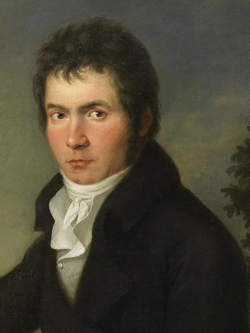 Das Gemälde zeigt den jüngeren Ludwig von Beethoven. Er sitzt, gekleidet in eine schwarze Jacke mit weißem Hemd und hat die rechte Hand wie zum Gruß mit ausgestreckten Fingern leicht erhoben. Im Hintergrund eine dunkle Kulisse mit grauer Regenwolke und einem abgebrochenen Baum.