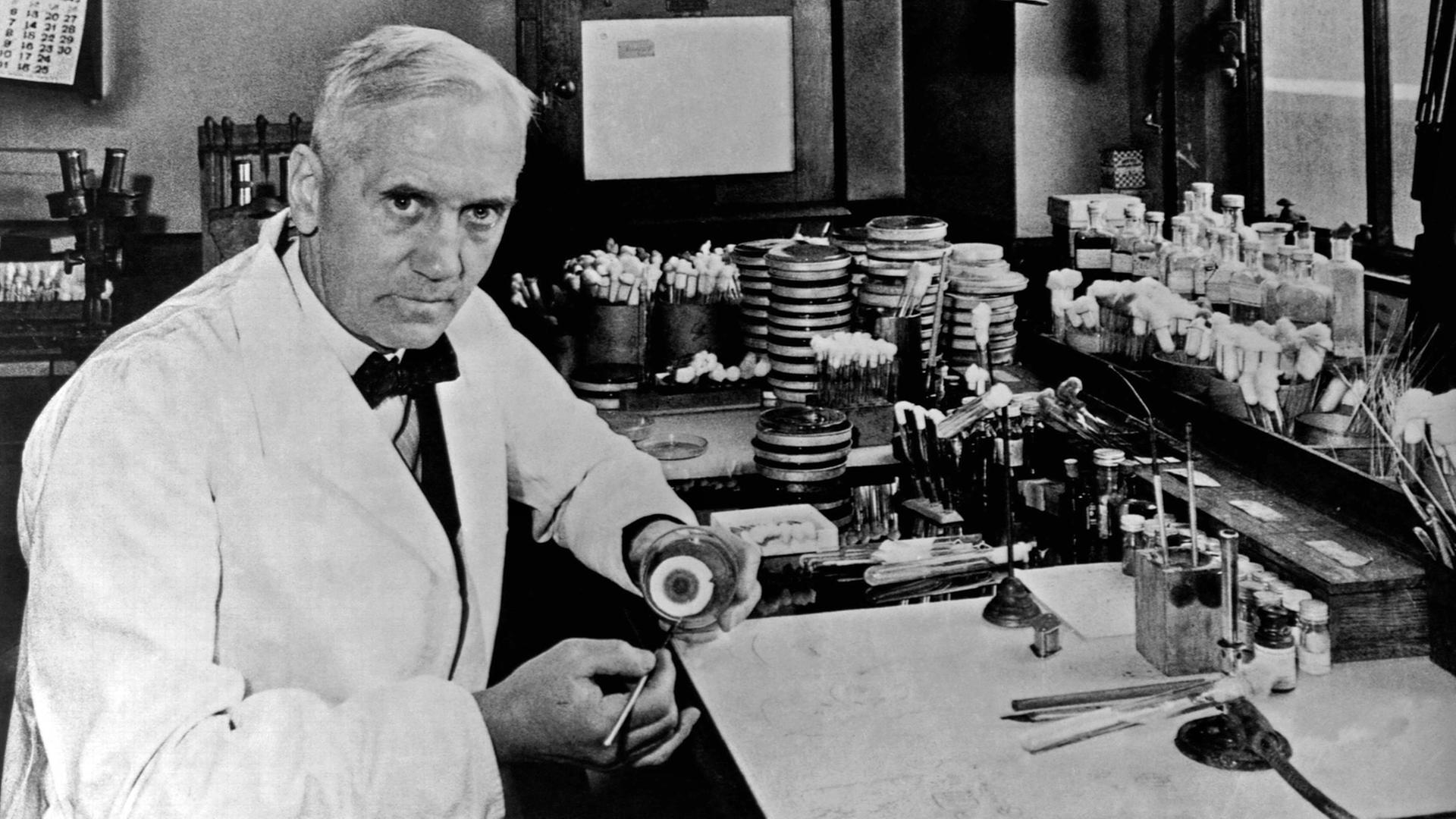 Der Entdecker des Penicillins Alexander Fleming 1952 in seinem Labor.