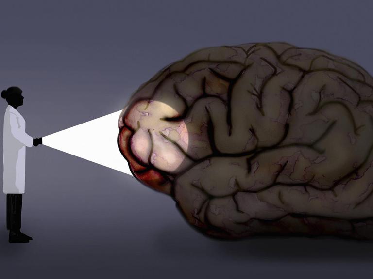 Wissenschaftlerin leuchtet mit einer Taschenlampe auf ein menschliches Gehirn.