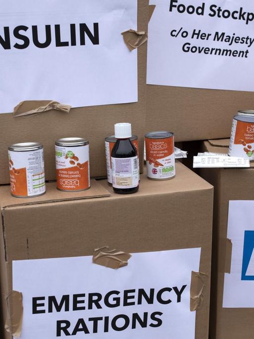 Jugendliche Aktivisten von 'Our Future, Our Choice' haben vor dem "Department of Health and Social Care" in London Boxen mit Medikamentenrationen als Protestaktion gegen den Brexit aufgebaut.