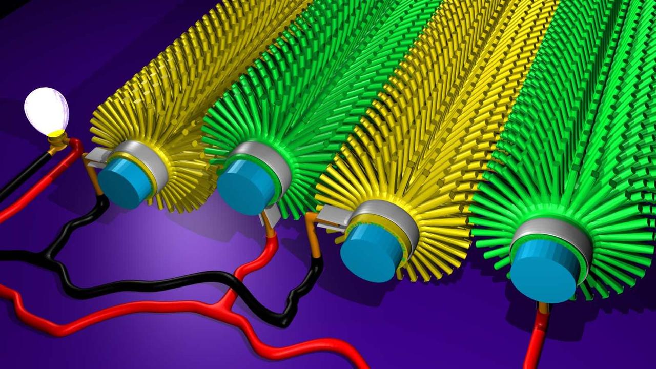 Schematische Darstellung von zylinderförmigen Nanobürsten. Die Borsten greifen in einander.
