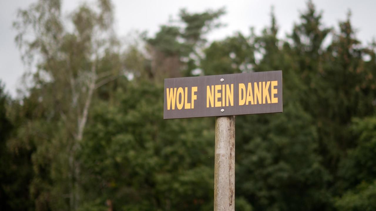 Ein Protestschild "Wolf Nein Danke" steht am 28.09.2016 auf einer Wiese an der Autobahn A27 bei Verden (Niedersachsen). 
