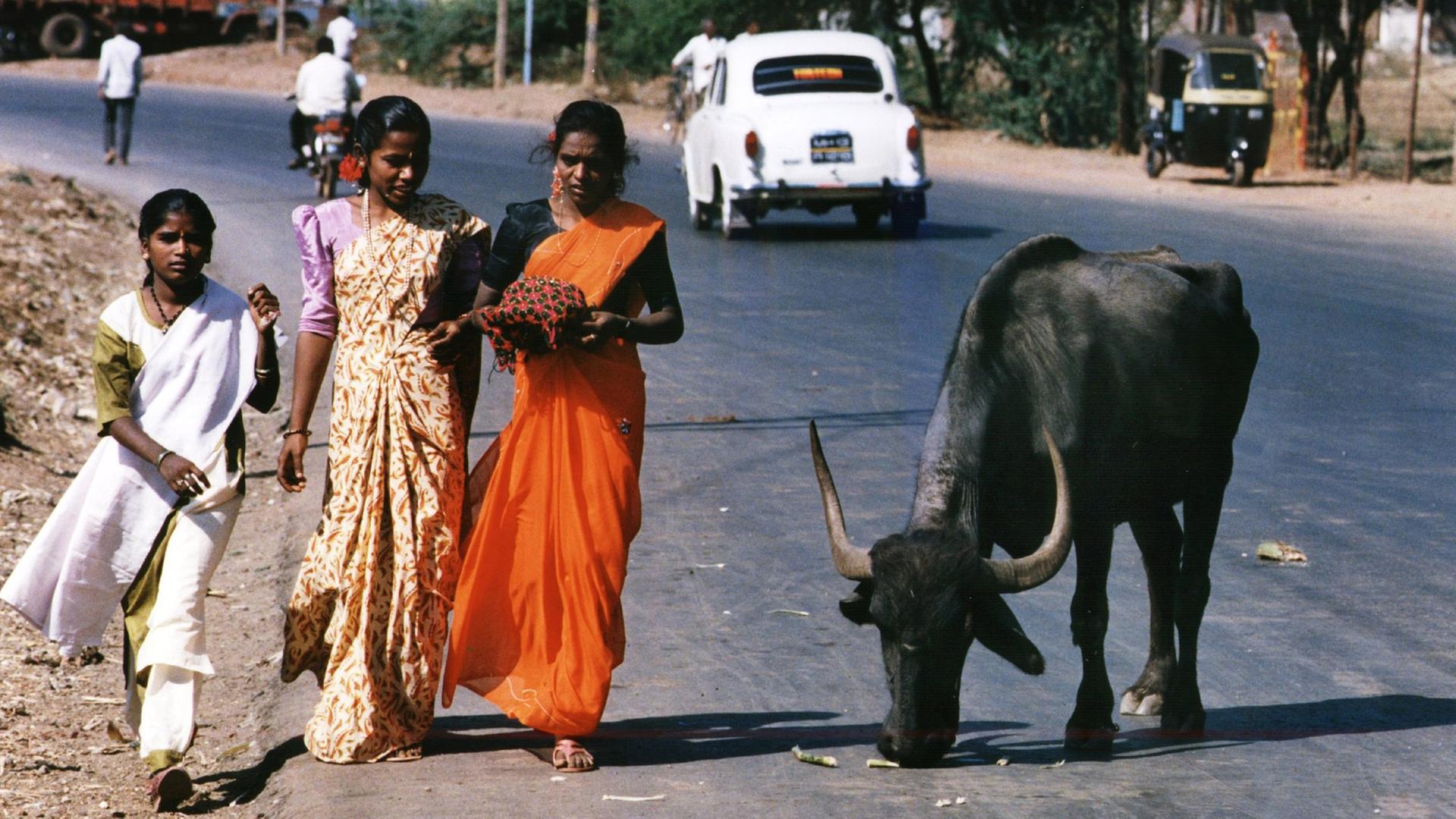 Drei Inderinnen in traditionellen Saris laufen auf einer Straße in Bangalore an einer Heiligen Kuh vorbei.
