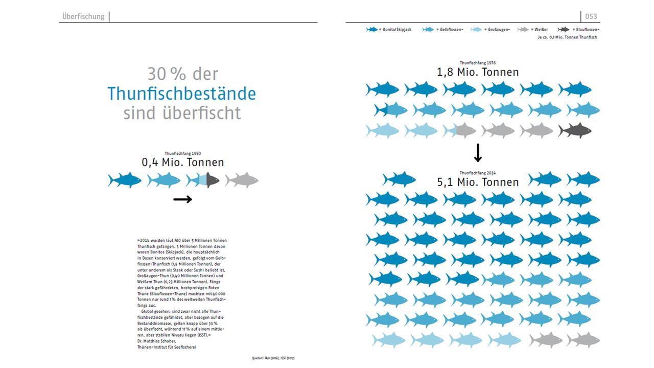 Der Thunfisch ist von Überfischung bedroht: Infografiken aus dem "Ozeanbuch" von Esther Gonstalla.