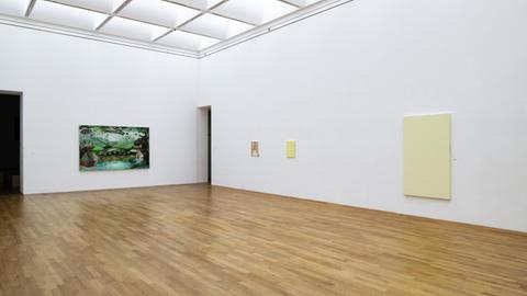 Ausstellungsansicht aus "Monika Baer. Preis der Stiftung Dieter Krieg 2019" im Kunstmuseum Bonn. Abgebildete Werke (v.l.n.r.): 1.) Set 4, 1995, Öl auf Leinwand, 160x250cm 2.) Untitled, 2013, Öl auf geschnittener Leinwand, Holz, Schnapsflasche, 50x40cm 3.) Untitled, 2016, Acryl, Pigment, Quarz auf Leinwand, Aluminium, Schrauben, 51x38,5cm 4.) Untitled, 2017, Acryl, Pigment, Quarz auf Leinwand, Aluminium, Schrauben, 180x118cm Alle Werke: Courtesy die Künstlerin & Galerie Barbara Weiss, Berlin