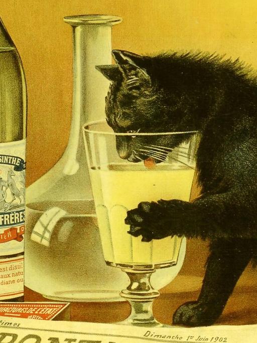 Eine historische Werbung für Absinthe Bourgeois von Mourgue Brothers zeigt eine absinthliebende schwarze Katze, die ein Glas des Firmenprodukts genießt. Es erhielt den Spitznamen Chat Noir und wurde zu einem der beliebtesten Absinthbilder.