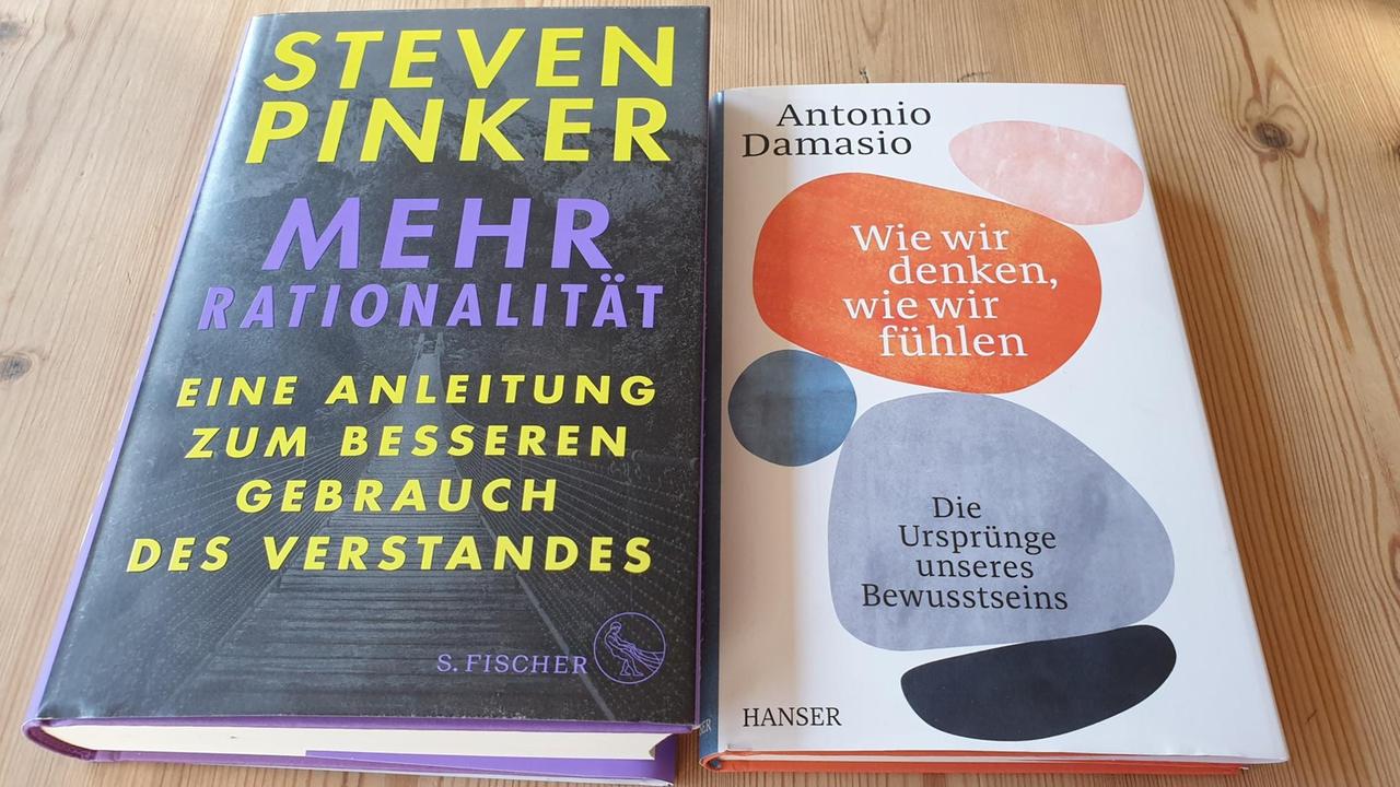 Neue Sachbücher von Steven Pinker: "Mehr Rationalität" und Antonio Damasio: "Wie wir denken, wie wir fühlen".