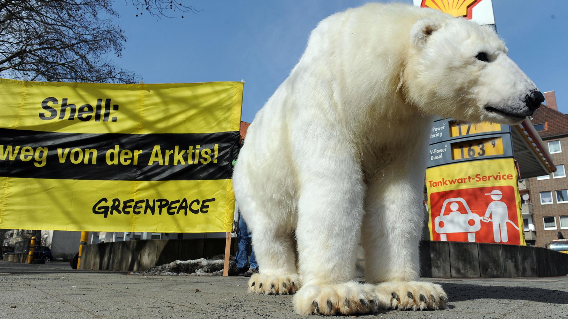 In einem Eisbärenkostüm in Lebensgröße stehen am 23.03.2013 Greenpeace-Aktivisten vor einer Shell-Tankstelle in Hannover. Greenpeace macht mit Aktionen auf einen bundesweiten Protest gegen Ölbohrungen in der Arktis aufmerksam.