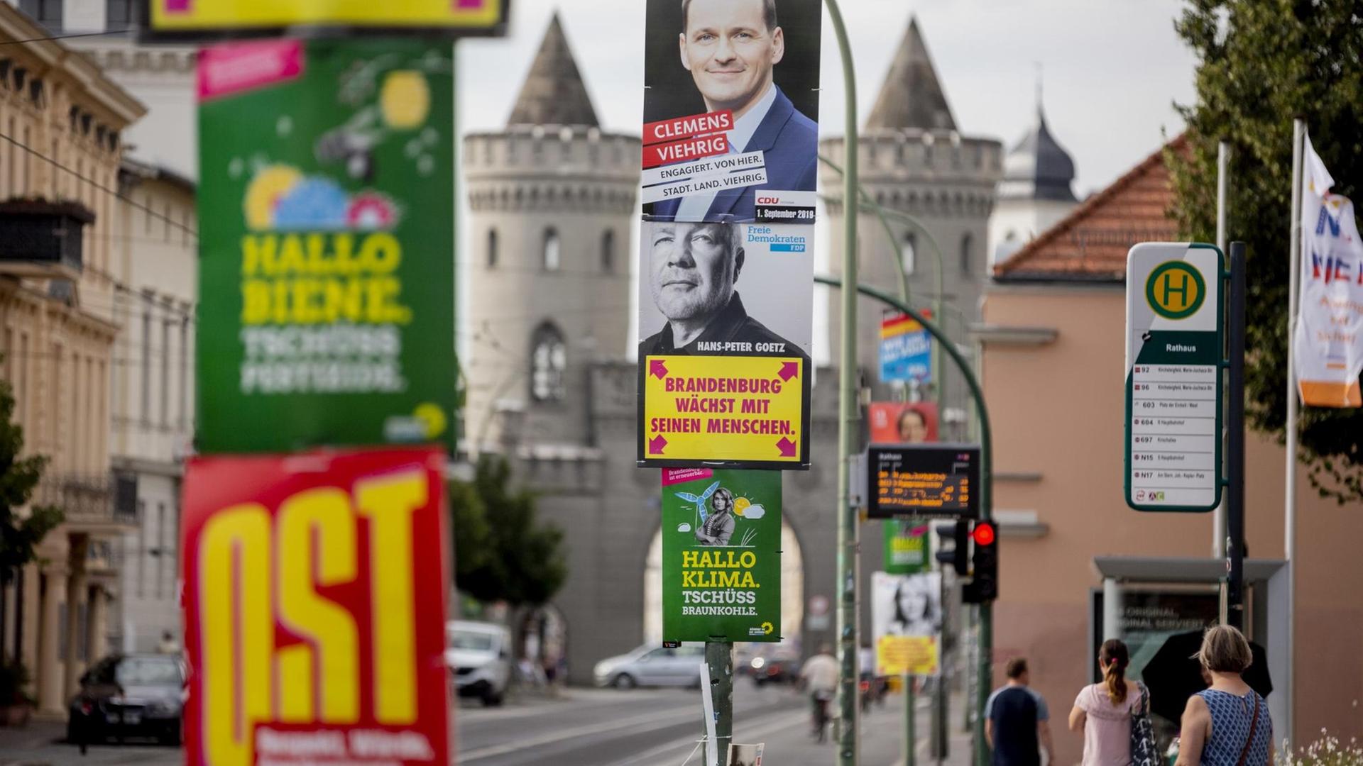 Das Foto zeigt Wahlplakate in Potsdam.